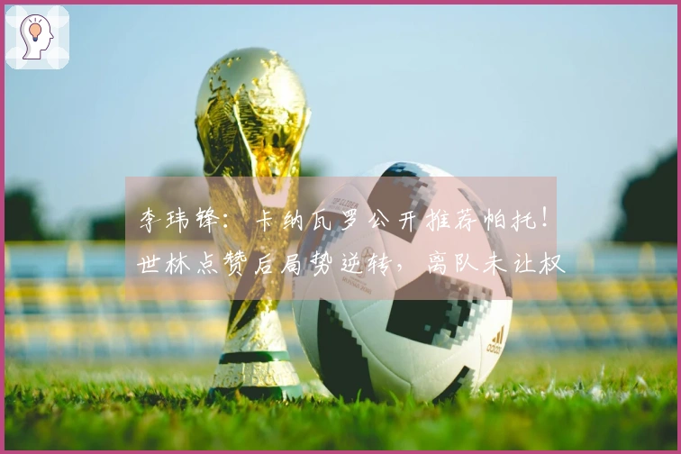 李玮锋：卡纳瓦罗公开推荐帕托！世林点赞后局势逆转，离队未让权健承担赔偿
