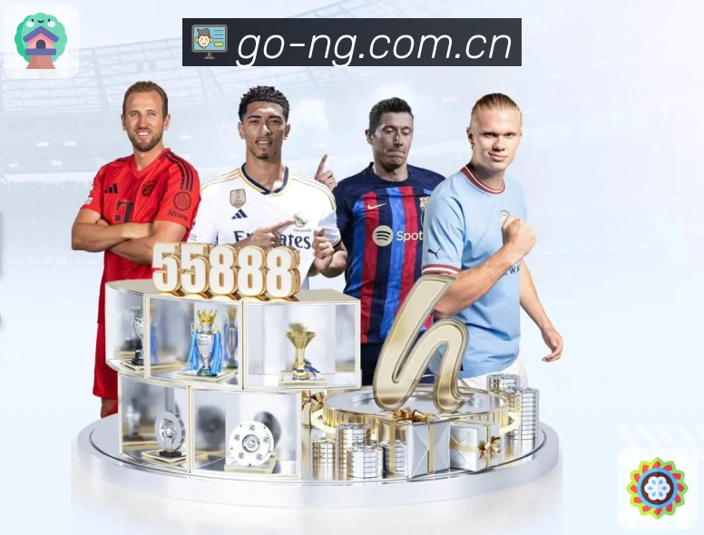 NG体育复盘答疑